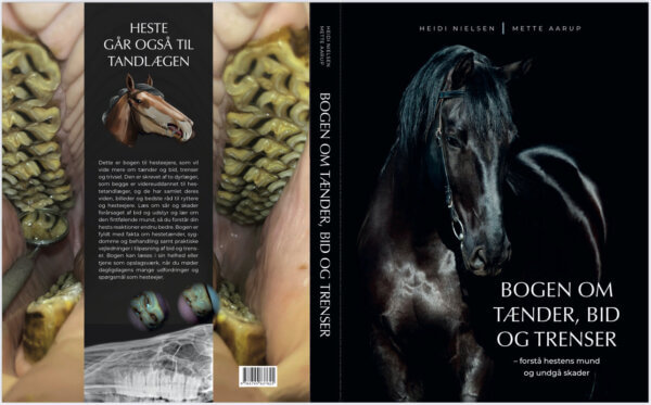 Fremmedgøre Plante træer Ægte Hestetandlæger i ny bog: Forstå hestens mund og undgå skader - TÖLT  Magasinet