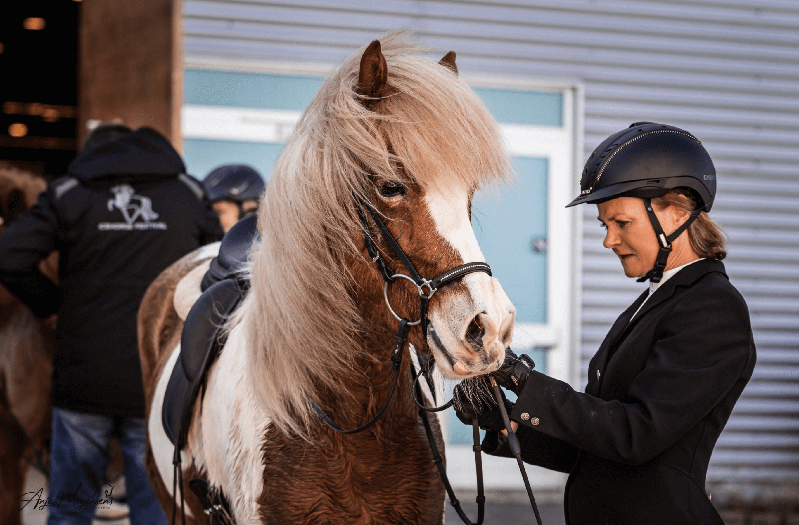 Udstyrskontrol til sportsstævner er med til at sikre velfærd for islandske heste TÖLT Magasinet