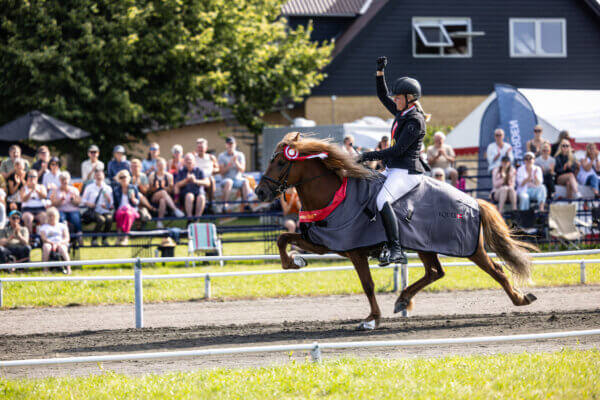 AnneFrankAndresenogJökull_dm2023