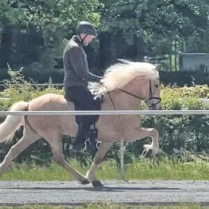 Guðrún fra Bredgaard