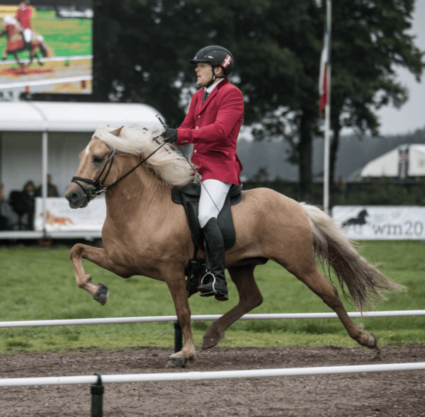 Søren Madsen og Skinfaxi fra Lysholm