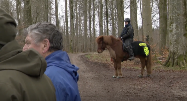 Helle og Blossi kom med i Nyhederne 13. januar 2025. TV2 Østjylland.